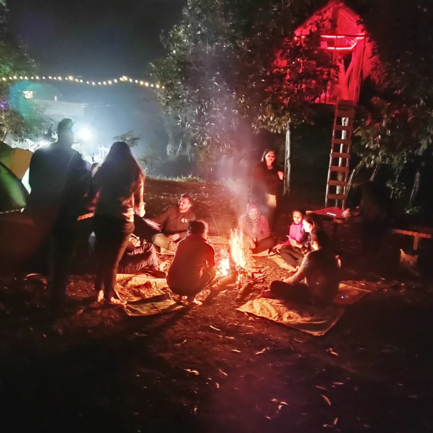 Night Camp fire with music